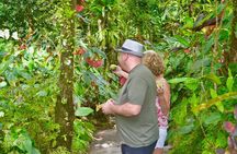 Montreal Garden , Belmont look out and Rawacou Recreation park from IV TOURS