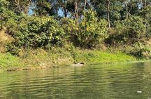 Chitwan Jungle Safari with Overnight Stay