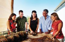 Dampier Peninsula & Aboriginal Communities from Broome (Optional Scenic Flight)
