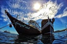 Learn to scuba dive with professional instructors - 3 days