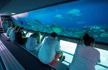 Great Barrier Reef Full Day Adventure
