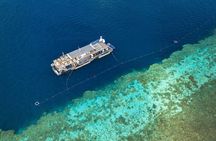 2-Day Great Barrier Reef: Reefsleep Experience