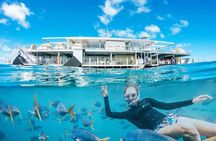 2-Day Great Barrier Reef: Reefsleep Experience