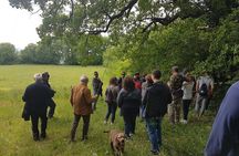 Truffle Hunting with Food tasting