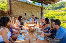 Peljesac&Ston Small-Group Food & Wine Experience from Dubrovnik