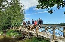 Magical Taiga Forest Hike with Lunch and Transportation