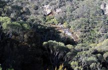 Blue Mountains Tour - Highlights