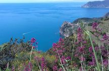 Cinque Terre unforgettable hiking experience