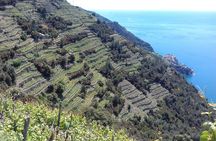 Cinque Terre unforgettable hiking experience