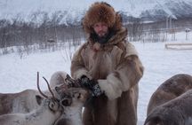 Reindeer feeding & Saami Culture