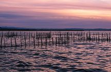 Albufera Nature & Boat Tour from Valencia (Small Group)
