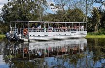 Guided Boat Tour of New Orleans Bayou and Wildlife