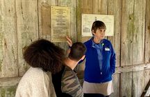 Laura Plantation Tour