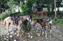 Half-Day Mountain Ride in Puerto Plata