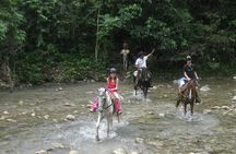 Half-Day Mountain Ride in Puerto Plata