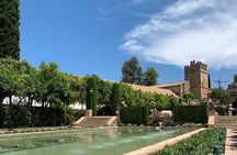 Private guided tour of the Alcazar de los Reyes Cristianos