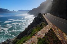 Cape Peninsula E-bike Cycle with Vehicle - Private Tour