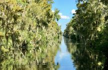 Guided Boat Tour of New Orleans Bayou and Wildlife
