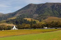 Constantia Hidden Gem Cycle Half Day - Private Tour