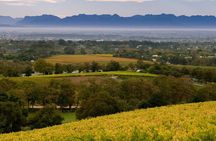 Constantia Hidden Gem Cycle Half Day - Private Tour