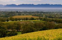 Constantia Hidden Gem Cycle Full Day - Private Tour