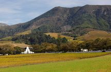 Constantia Hidden Gem Cycle Full Day - Private Tour