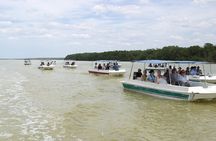 Private Tour: Celestun Biosphere Reserve by Yucatan Concierge