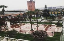 Arica Private Sightseeing Tour