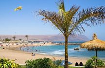 Arica Private Sightseeing Tour