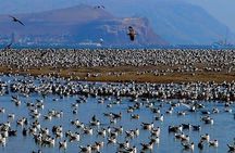Arica Private Sightseeing Tour