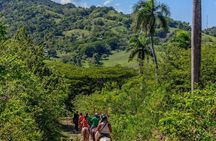 Half-Day Mountain Ride in Puerto Plata