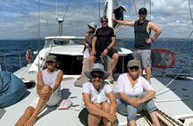 Hauraki Gulf Eco Sailing Adventure