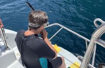 Hauraki Gulf Eco Sailing Adventure