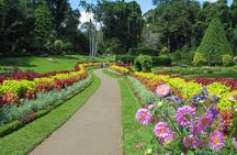 Kandy City Tour from Bentota
