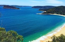 Central Coast Private Tour From Sydney, with Australian Reptile Park Option