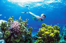 Snorkeling at Coral Island from Trincomalee