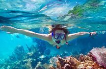 Snorkeling at Coral Island from Trincomalee