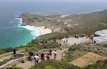 Full-Day Tour to Cape Point and Cape of Good Hope