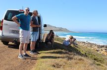 Visit Robben Island Museum Langa Township Tour Inc Ferry Ticket 