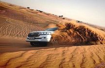 Dubai Camel Riding Sandboarding and Dune Bashing Experience