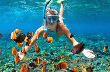 Snorkeling At Blue lagoon And Hidden waterfall 