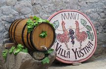 Thracian Valley wine tasting - private day tour from Plovdiv