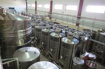 Thracian Valley wine tasting - private day tour from Plovdiv