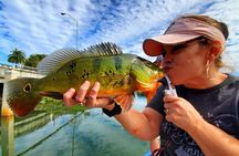 Peacock Bass Fishing Trip near Biscayne Bay