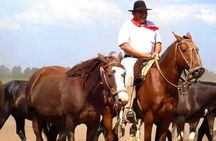 Gaucho Day Tour Santa Susana Estancia From Buenos Aires