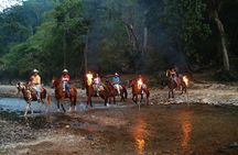 Combo Horse Riding and ATV Experience 