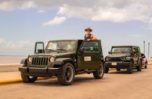 Cozumel Cultural Jeep Tour with Mayan Village and Mexican Lunch