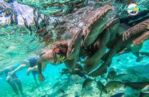 All inclusive Snorkeling at Hol Chan