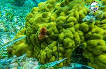 All inclusive Snorkeling at Hol Chan