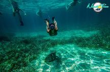 All inclusive Snorkeling at Hol Chan